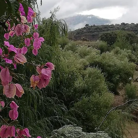 La Fontana *
