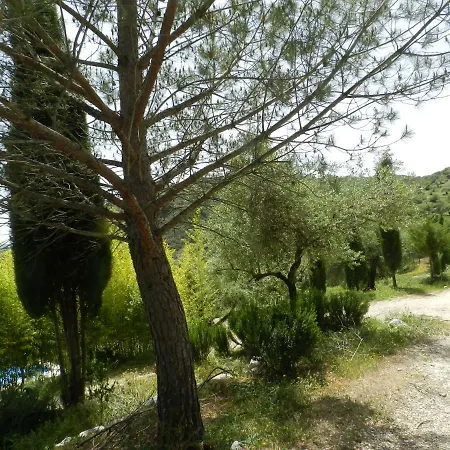 Villa La Fontana Cortes de la Frontera